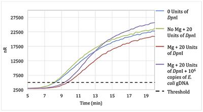 Akkermansia muciniphila as a Model Case for the Development of an Improved Quantitative RPA Microbiome Assay